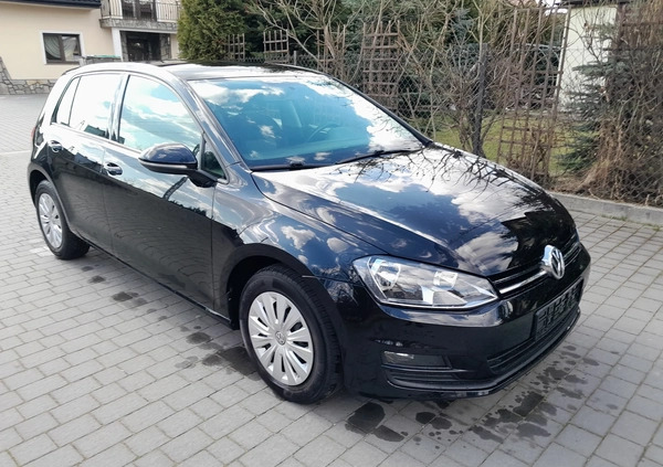 Volkswagen Golf cena 37700 przebieg: 211000, rok produkcji 2013 z Terespol małe 301